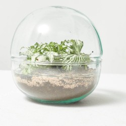 TERRA VIVANT - MINI MONDE S MIX