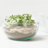 TERRA VIVANT - MINI MONDE S MIX
