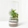TERRA VIVANT - GREEN TOWER M MIX