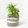 TERRA VIVANT - GREEN TOWER M MIX