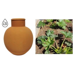 OLLA RIEGO TERRACOTA 6.5L