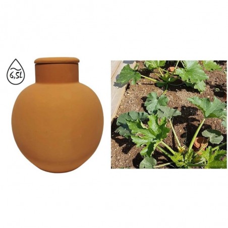 OLLA RIEGO TERRACOTA 6.5L