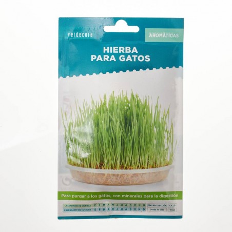 SEMILLAS HIERBA PARA GATOS VERDECORA