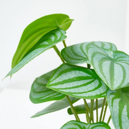 MACETA BEGONIA. 28 CM. VERDE