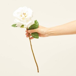 ROSA INGLESA 45CM BLANCO