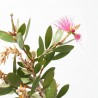 CALLISTEMON ROSA MACETA 3L