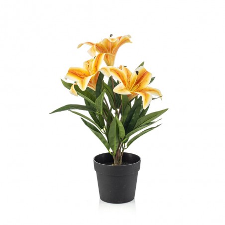 LILIUM X 3 AMARILLO 33CM MACETA