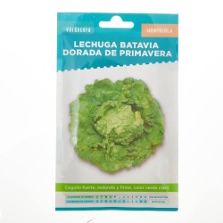SEMILLAS LECHUGA BATAVIA DORADA PRIMAVERA VERDECORA