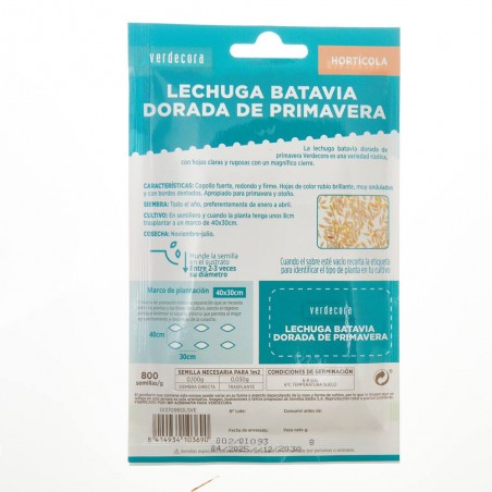 SEMILLAS LECHUGA BATAVIA DORADA PRIMAVERA VERDECORA