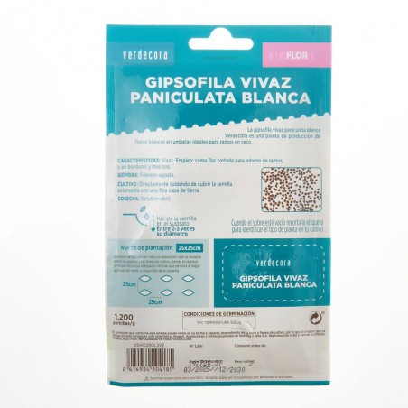 SEMILLAS PANICULATA VERDECORA