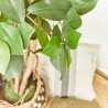 FICUS ARTIFICIAL 180CM