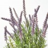 LAVANDA ARTIFICIAL 35CM MACETA