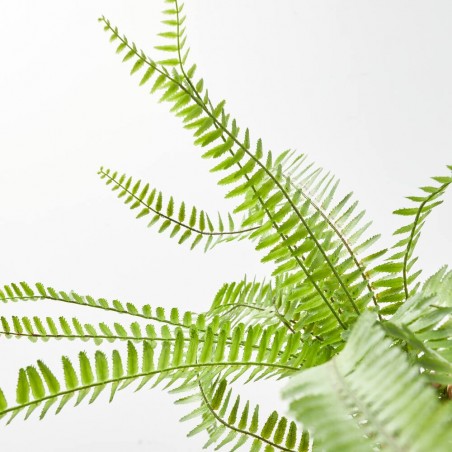 HELECHO ARTIFICIAL NEPHROLEPIS 60CM VARA