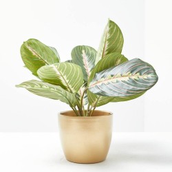 MARANTA ARTIFICIAL MACETA DORADA 30CM