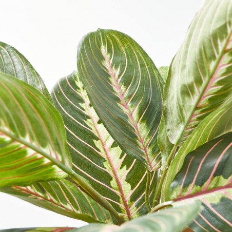 MARANTA ARTIFICIAL MACETA DORADA 30CM
