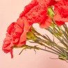 RAMO CLAVELES ROJO