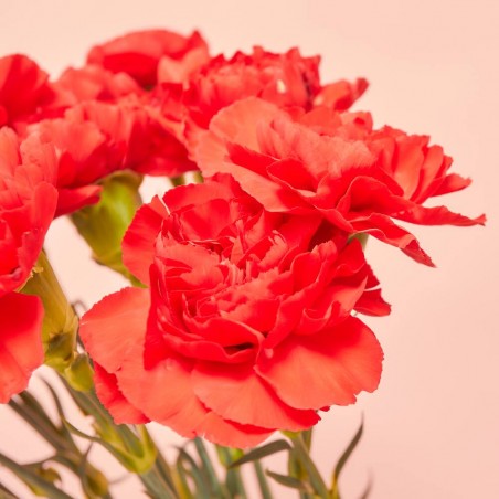 RAMO CLAVELES ROJO