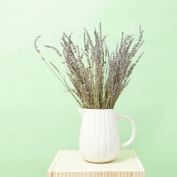 RAMO LAVANDA