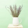 RAMO LAVANDA