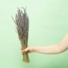 RAMO LAVANDA