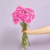 RAMO CLAVELES ROSAS