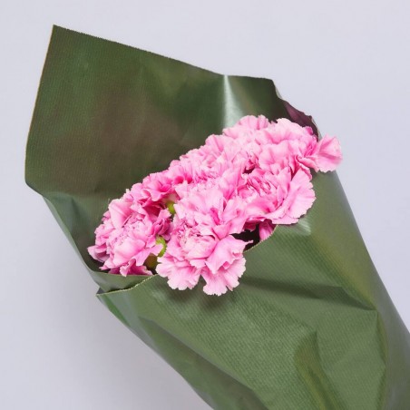 RAMO CLAVELES ROSAS