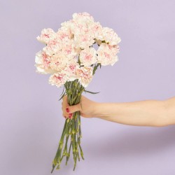 RAMO CLAVELES SORPRESA