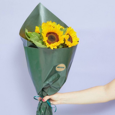 RAMO GIRASOLES