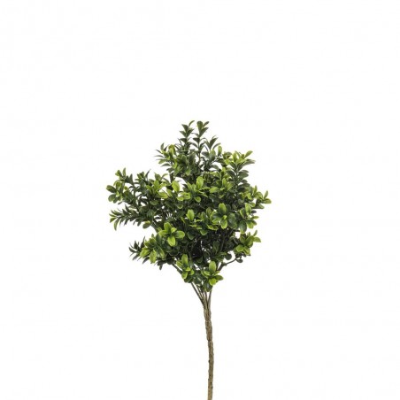 BUXUS UV 30CM TALLO