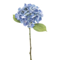 HORTENSIA AZUL 47CM TALLO