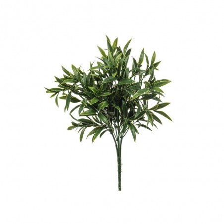 RUSCUS UV 30CM MATA