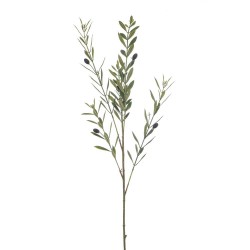 OLIVO VERDE 90CM TALLO
