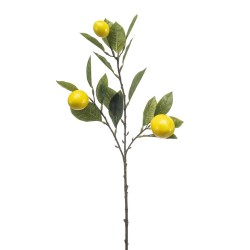 LIMONERO X 3 65CM TALLO