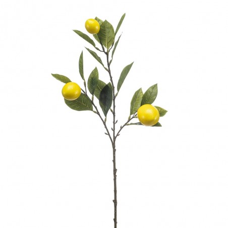 LIMONERO X 3 65CM TALLO