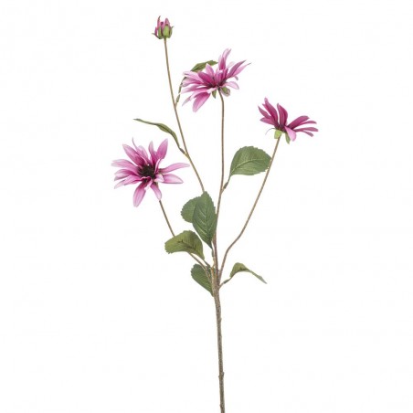 ASTER ROSA 82CM TALLO