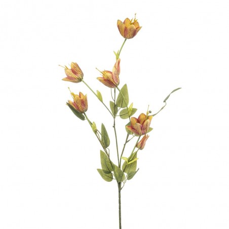 FRITILLARIA NARANJA 86CM TALLO