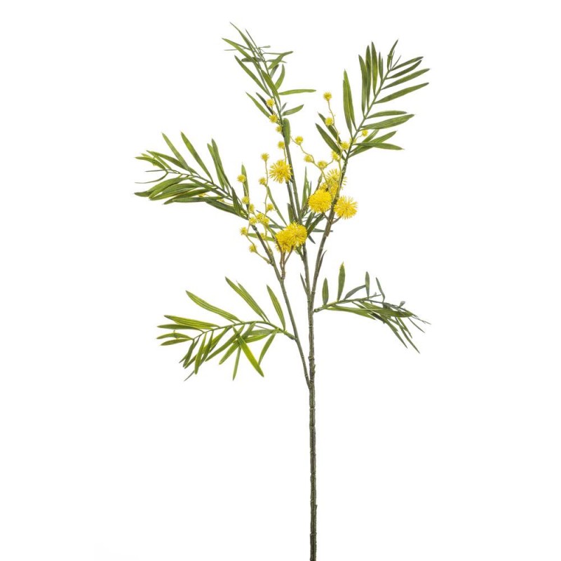 mimosa-amarilla-70cm-tallo.jpg