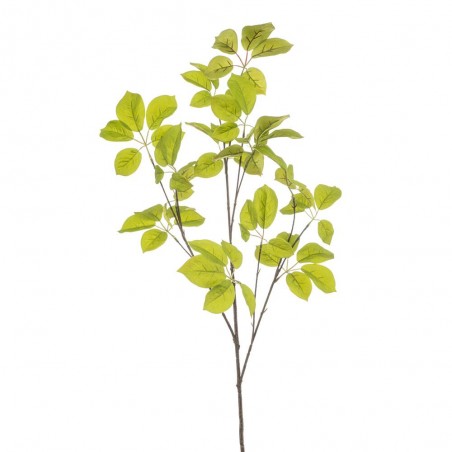 SCHEFFLERA 90CM TALLO