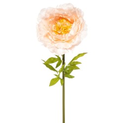 PEONIA MELOCOTON 115CM TALLO