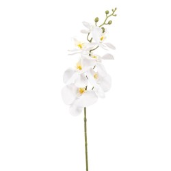 ORQUIDEA BLANCA 84CM TALLO