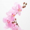 PHALAENOPSIS ARTIFICIAL 65CM ROSA