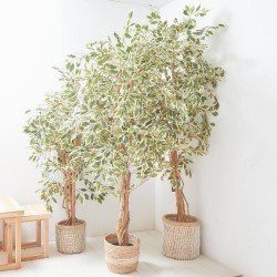 ÁRBOL FICUS ARTIFICAL VARIEGADO
