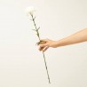 CLAVEL ARTIFICIAL BLANCO 67CM TALLO