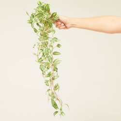 TRADESCANTIA ARTIFICIAL VERDE COLGANTE