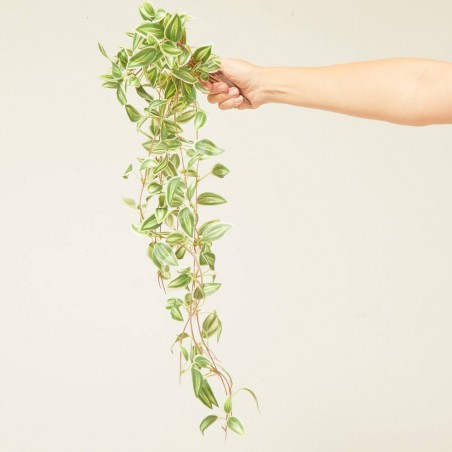 TRADESCANTIA ARTIFICIAL VERDE COLGANTE