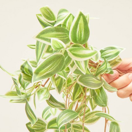 TRADESCANTIA ARTIFICIAL VERDE COLGANTE
