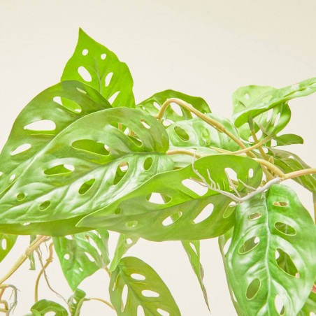 MONSTERA MONKEY ARTIFICIAL COLGANTE 90CM