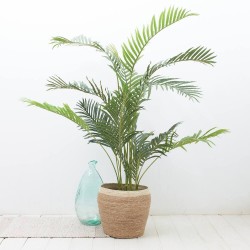 PALMERA ARTIFICIAL EXTERIOR