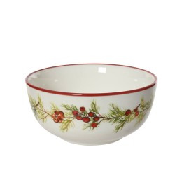 BOWL PORCELANA ANIMALES 510ML