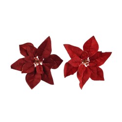 POINSETTIA 2 SURTIDO D28CM